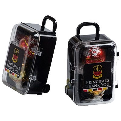 2 Lindt Balls Acrylic Carry On Case