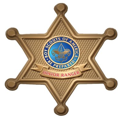 Arizona Sheriff Button Badge