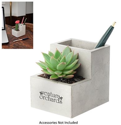 Concrete Desk Planter & Pen Holder