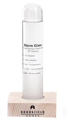 Glass Capsule Storm Predictor