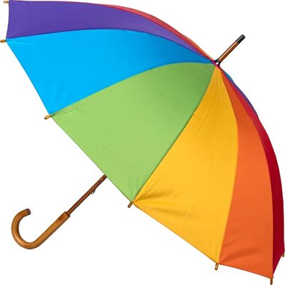 Parynn 12 Rib Rainbow Umbrella