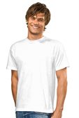 Hanes Tee Shirts