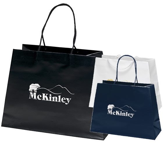 Boutique bags with discount logo