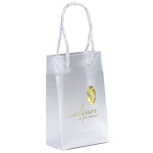 1pc Plastic Gift Bag, Minimalist Clear Gift Bag For Home | SHEIN