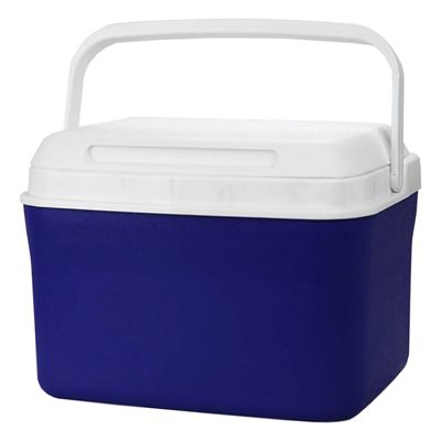 4.5L Mini Cooler Box