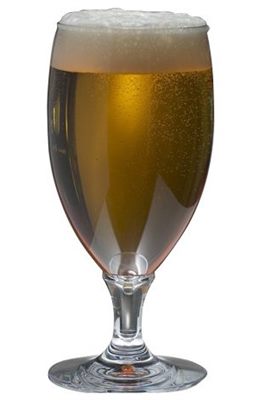 Ale Haus 500ml Polycarbonate Beer Glass