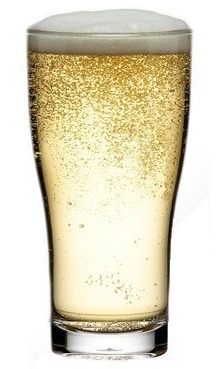 Angus 285ml Nucleated Polycarbonate Beer Glass