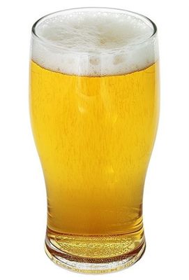 Angus 570ml Nucleated Beer Glass