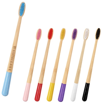 Bamboo Conical Coloured Handle Toothbrush