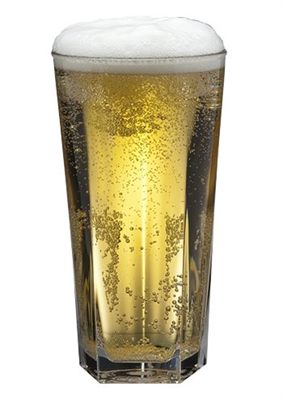 BierMeister 285ml Nucleated Polycarbonate Beer Glass