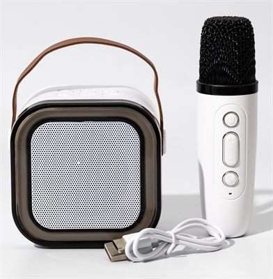 Bluetooth Portable Karaoke Machine