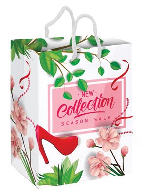 D2A6 Large Paper Laminated Carry Bag Full Colour Print