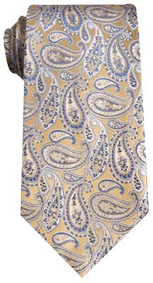 Gold Blue Coloured Paisley Silk Tie