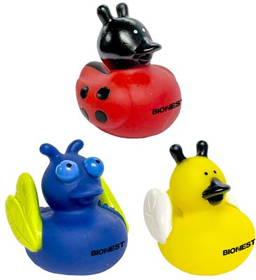 Insect Shaped Rubber Ducks