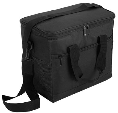 Pankita Nylon Cooler Bag