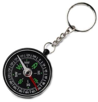 Plastic Compass & Key Ring