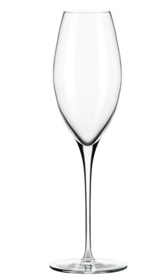 Riviera 259ml Champagne Glass