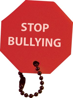 Stop Sign Floating Keyring