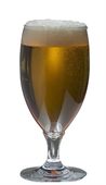 Ale Haus 310ml Polycarbonate Beer Glass