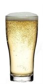 Angus 285ml Nucleated Polycarbonate Beer Glass
