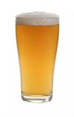 Angus 285ml Tempered Beer Glass