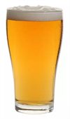 Angus 425ml Tempered Beer Glass