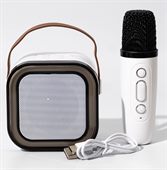 Bluetooth Portable Karaoke Machine