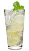 Collins 355ml Polycarbonate Hi Ball Glass