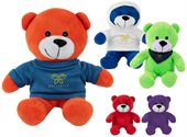 Colour Teddy Bear Plush Toy