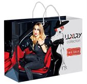 D2A8 XLarge Paper Laminated Carry Bag Full Colour Print