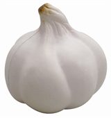 Garlic Mini Stress Ball
