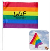 Large Rainbow Flag