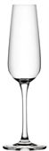 Lyon 210ml Champagne Glass
