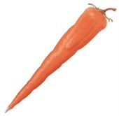 Novel Carrot Shaped Pen