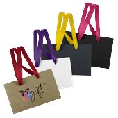 Small Colourful Ribbon Handle Paper Bag
