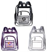 Titan Heavy Duty Transparent Backpack