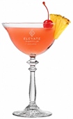 Windsor Coupe Glass 245ml
